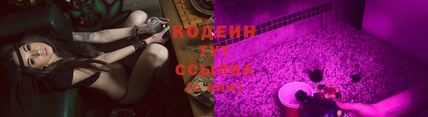 амф Аркадак