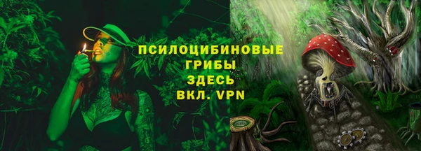 дмт Новодвинск