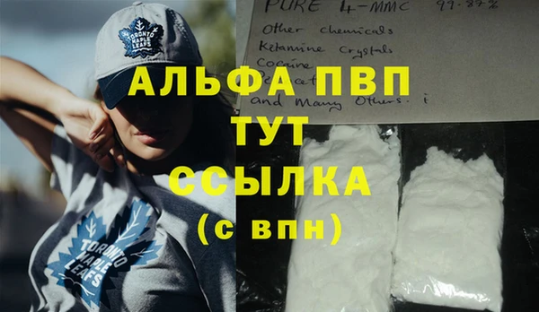 амф Аркадак